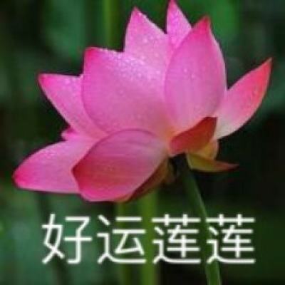 广东用新科技破解保鲜难题——一年四季吃荔枝有望成真
